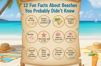 🌊 12 Fun Facts About Beaches You Probably Didn’t Know